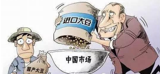 这个石油资源丰富但资金匮乏的南美国家卷入了政治之中