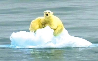 新的证据表明西格陵兰岛地区对北极气候变化的反应迅速