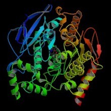 研究人员可以深入了解蛋白质结构并创造新的变异