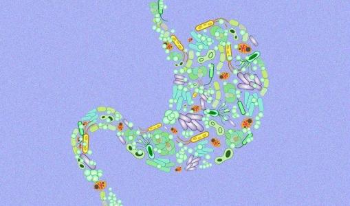 飞机微生物组很像家庭和办公室