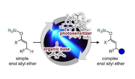 在烯醇甲硅烷基醚的固有惰性位置实现选择性碳