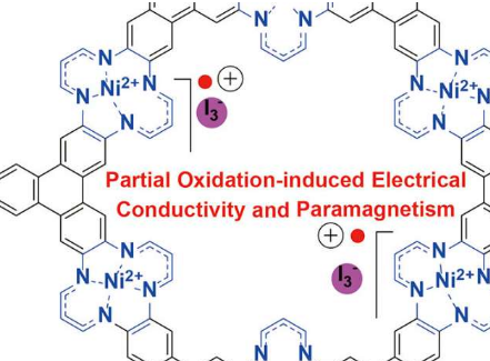 具有有趣的导电性和磁性的新型二维金属有机骨架