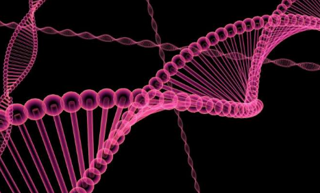 DNA只是数百万种可能的遗传分子中的一种