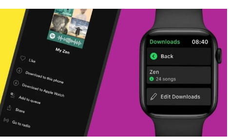 SPOTIFY终于允许在苹果手表上下载