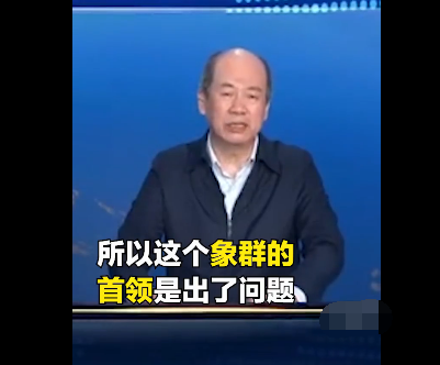 今日云南野象群踪迹最新消息：云南野象群北迁为了什么 目前15头北上象群掉头向南 