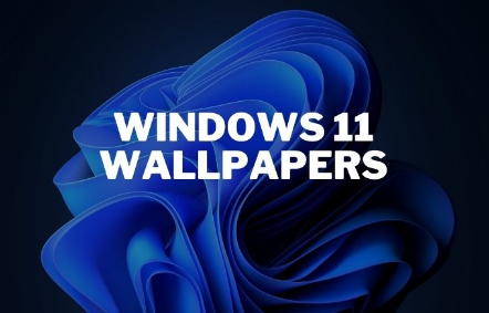 微软桌面操作系统的下一个版本Windows11已经在网上泄露