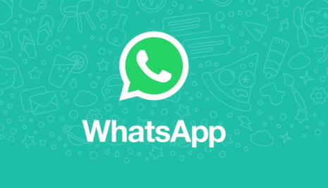 WhatsApp为安卓很快将允许您选择发送的照片质量