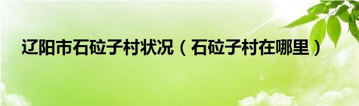 辽阳市石砬子村状况（石砬子村在哪里）