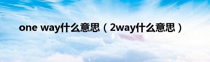 one way什么意思（2way什么意思）