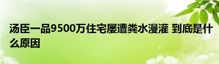 汤臣一品9500万住宅屡遭粪水漫灌 到底是