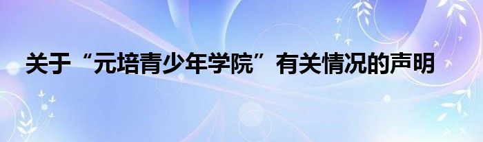 关于“元培青少年学院”有关情况的声明