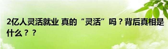 2亿人灵活就业 真的“灵活”吗？背后真相是什么？？