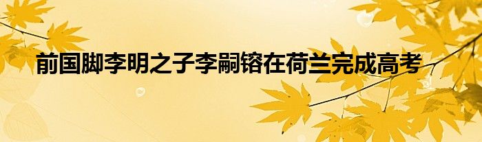 前国脚李明之子李嗣镕在荷兰完成高考