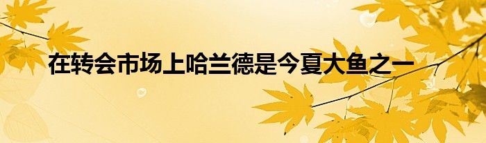 在转会市场上哈兰德是今夏大鱼之一