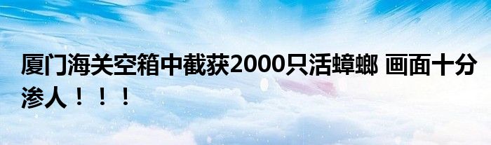 厦门海关空箱中截获2000只活蟑螂 画面十分渗人！！！