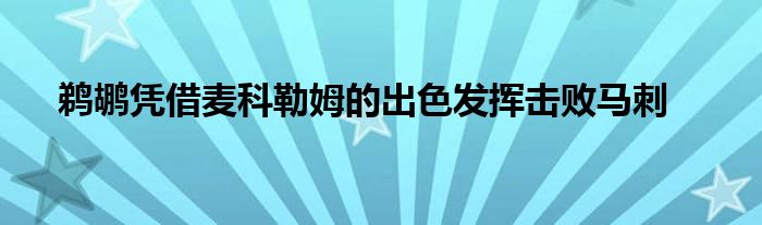 鹈鹕凭借麦科勒姆的出色发挥击败马刺