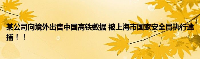 某公司向境外出售中国高铁数据 被上海市国家安全局执行逮捕！！