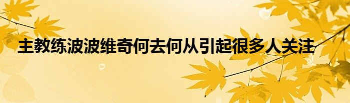 主教练波波维奇何去何从引起很多人关注