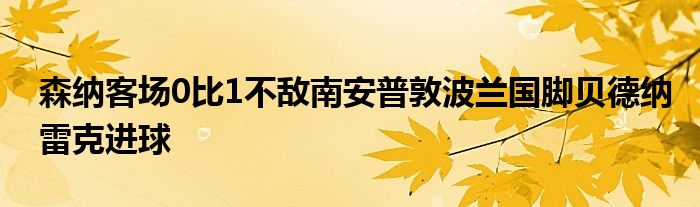 森纳客场0比1不敌南安普敦波兰国脚贝德纳雷克进球