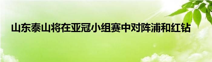 山东泰山将在亚冠小组赛中对阵浦和红钻