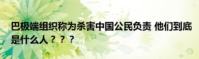 巴极端组织称为杀害中国公民负责 他们到底是什么人？？？