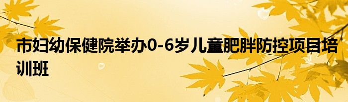 市妇幼保健院举办0-6岁儿童肥胖防控项目培训班