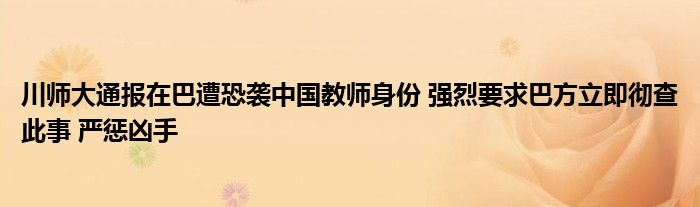 川师大通报在巴遭恐袭中国教师身份 强烈要求巴方立即彻查此事 严惩凶手