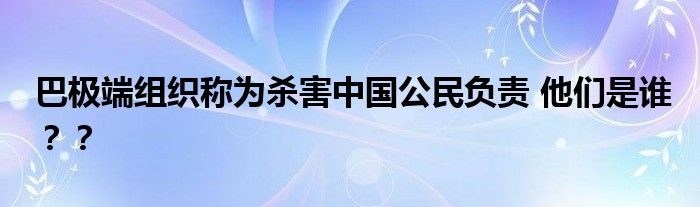 巴极端组织称为杀害中国公民负责 他们是谁？？