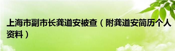 上海市副市长龚道安被查（附龚道安简历个人资料）