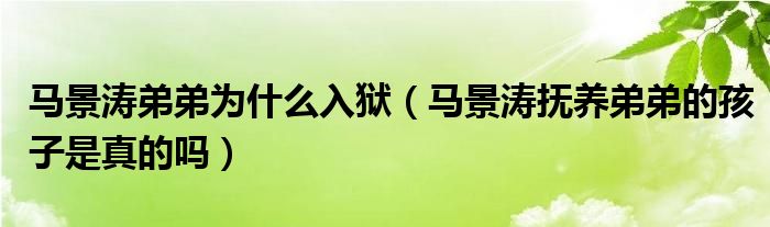 马景涛弟弟为什么入狱（马景涛抚养弟弟的孩子是真的吗）