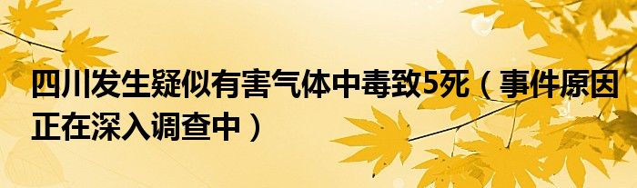 四川发生疑似有害气体中毒致5死（事件原因正在深入调查中）