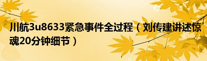 川航3u8633紧急事件全过程（刘传建讲述惊魂20分钟细节）