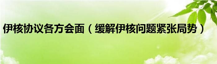 伊核协议各方会面（缓解伊核问题紧张局势）