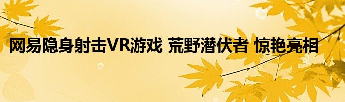 网易隐身射击VR游戏 荒野潜伏者 惊艳亮相