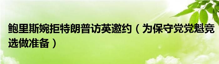 鲍里斯婉拒特朗普访英邀约（为保守党党魁竞选做准备）