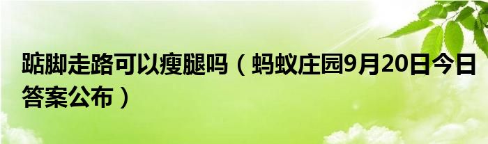 踮脚走路可以瘦腿吗（蚂蚁庄园9月20日今日答案公布）