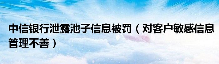 中信银行泄露池子信息被罚（对客户敏感信息管理不善）