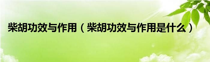 柴胡功效与作用（柴胡功效与作用是什么）