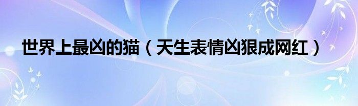 世界上最凶的猫排行榜_世界上最“凶残”的猫,连狼都能咬死,土豪们却很喜欢养