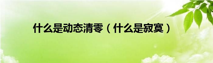 什么是动态清零(什么是寂寞)