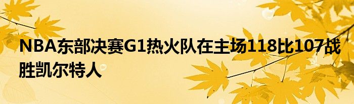 NBA东部决赛G1热火队在主场118比107战胜凯尔特人