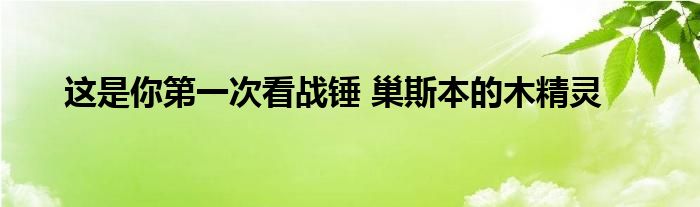 这是你第一次看战锤 巢斯本的木精灵