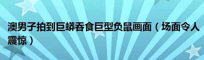 澳男子拍到巨蟒吞食巨型负鼠画面（场面令人震惊）