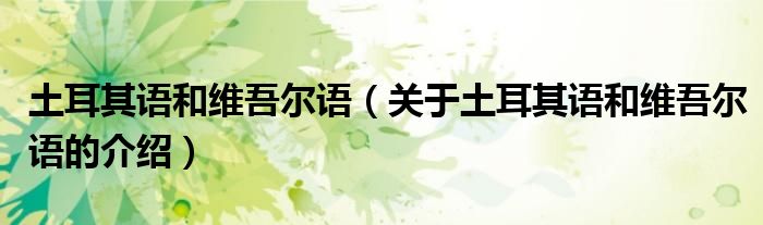 泰沙迪亚斯 关于泰沙迪亚斯的简介 泰德迪比亚斯 时尚圈