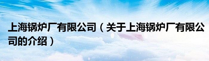 上海锅炉厂有限公司(关于上海锅炉厂有限公司的介绍)