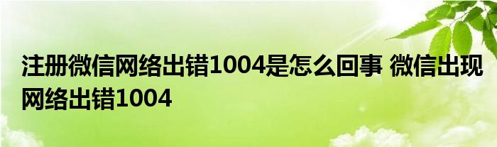 注册微信网络出错1004是怎么回事 微信出现网络出错1004