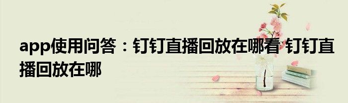 app使用问答:钉钉直播回放在哪看 钉钉直播回放在哪