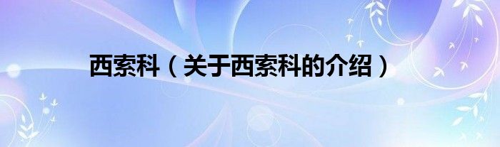 西索科(关于西索科的介绍)
