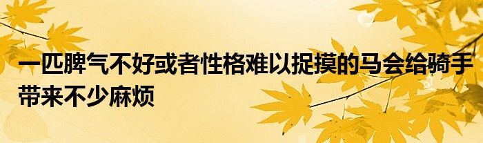 一匹脾气不好或者性格难以捉摸的马会给骑手带来不少麻烦