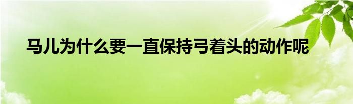 马儿为什么要一直保持弓着头的动作呢